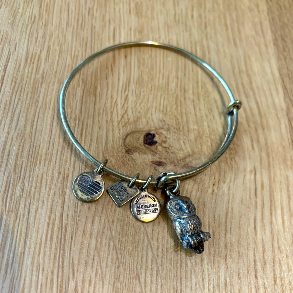 Alex and Ani Owl Charm Bangle Bracelet
